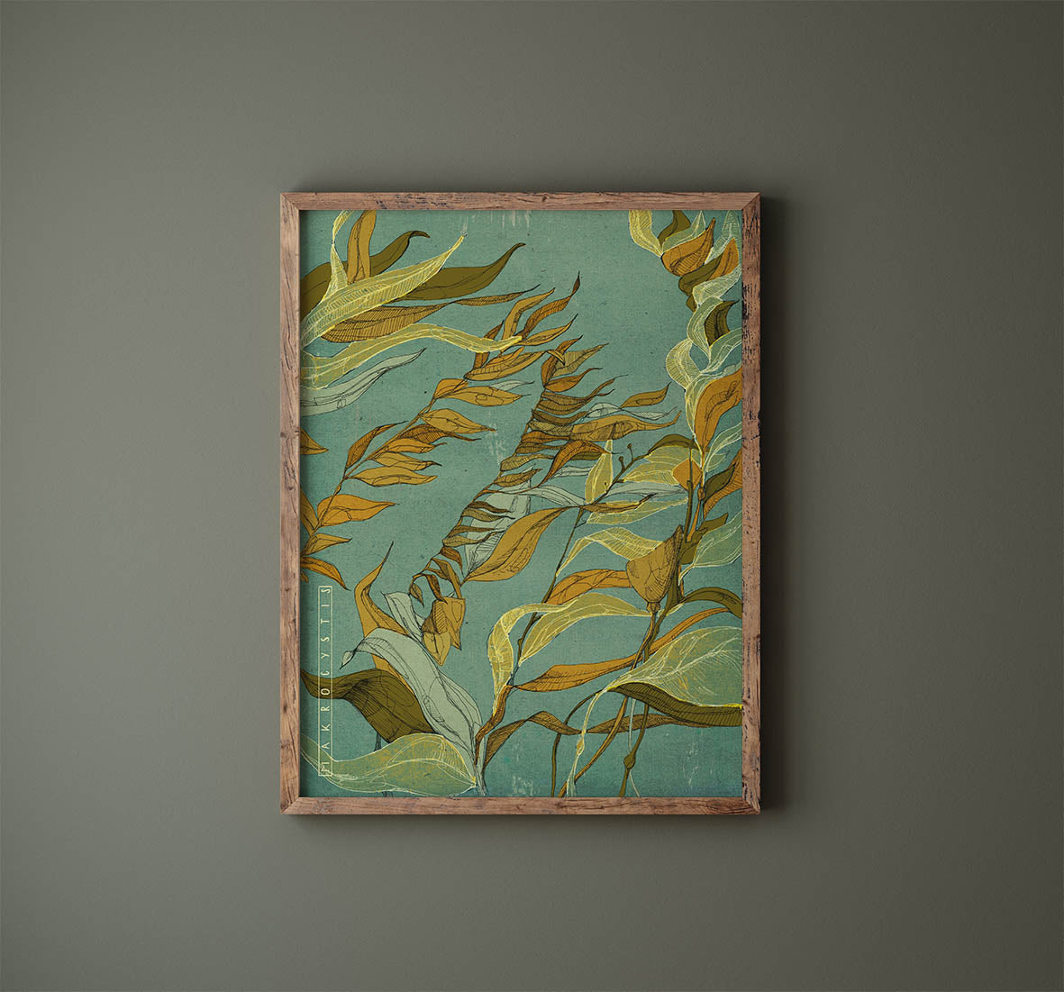 Seaweed Illustration