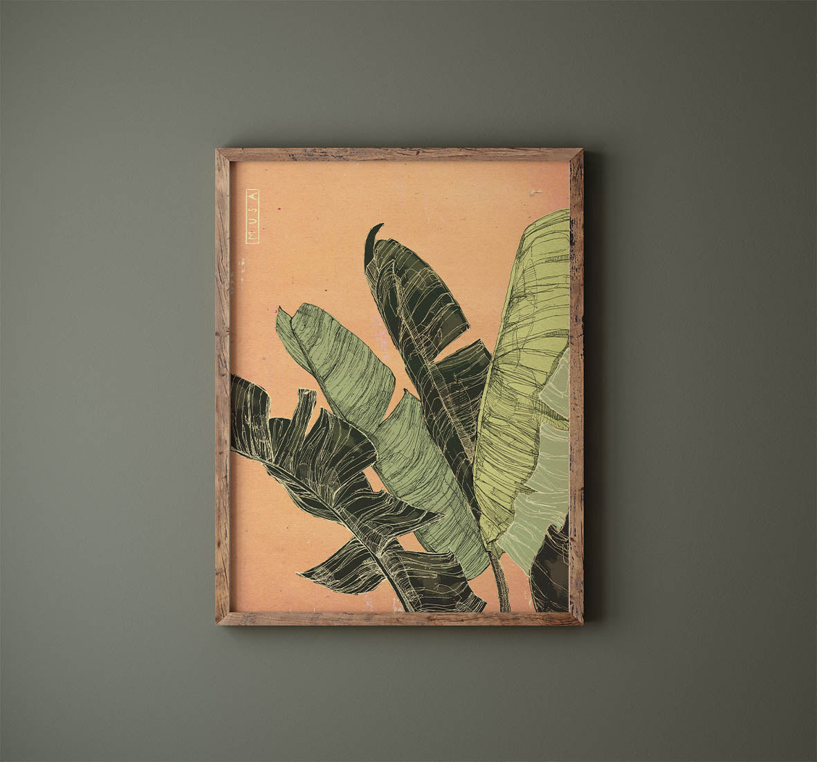 Banana Leaf Illustration