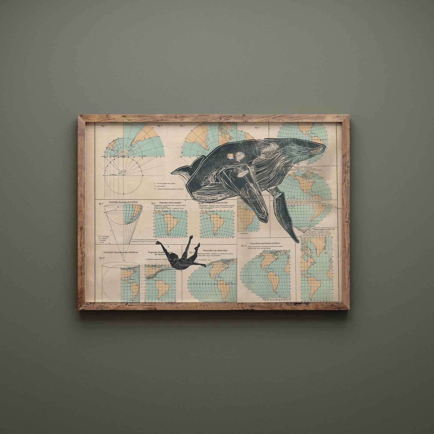 Whale World Map Collage