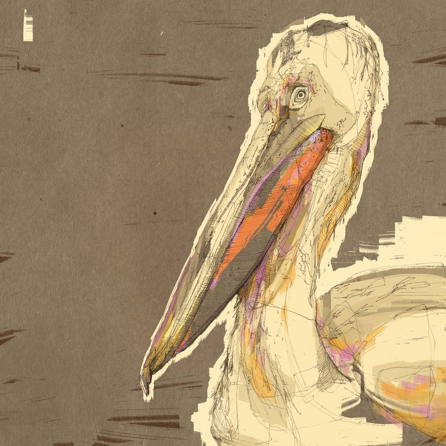 Pelikan Illustration