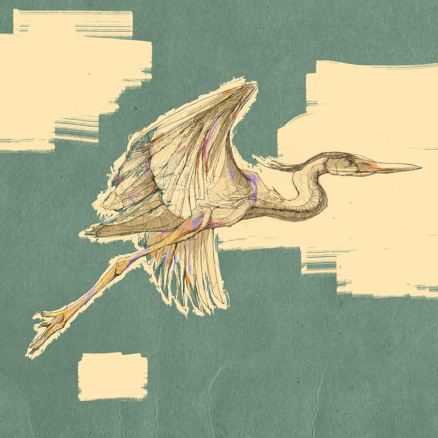 Heron Illustration