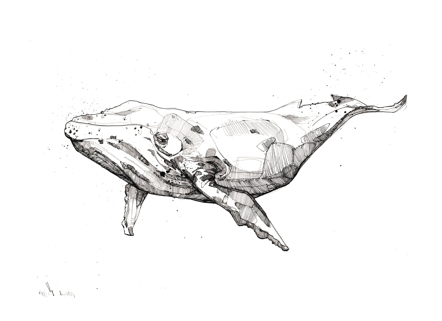 Whales Illustration Print