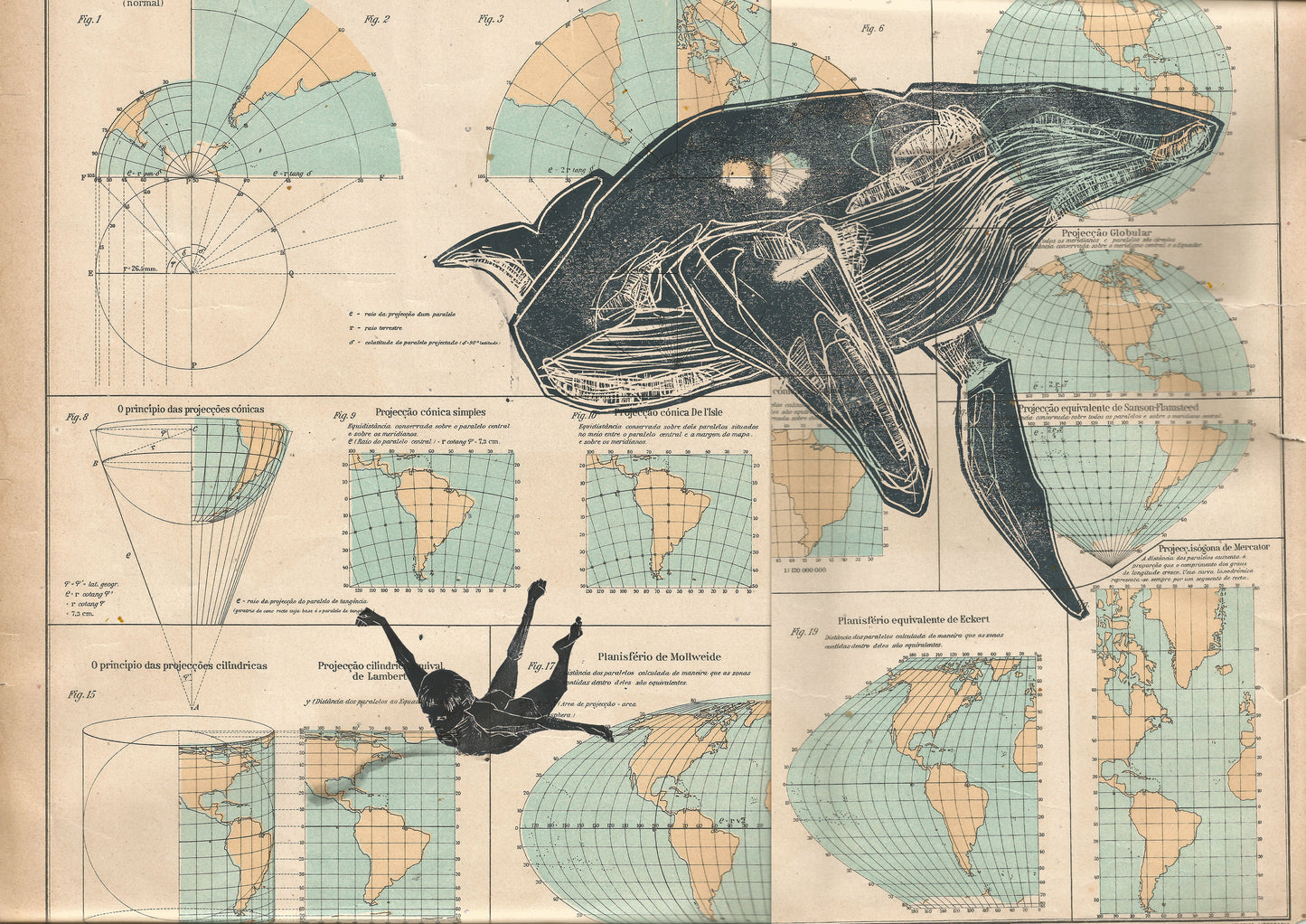 Whale World Map Collage